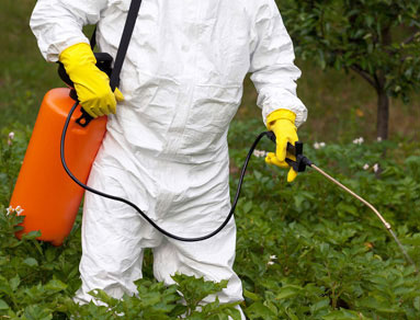 Toxic Pesticides